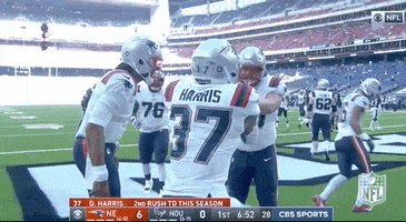 New England Patriots Football GIF by NFL