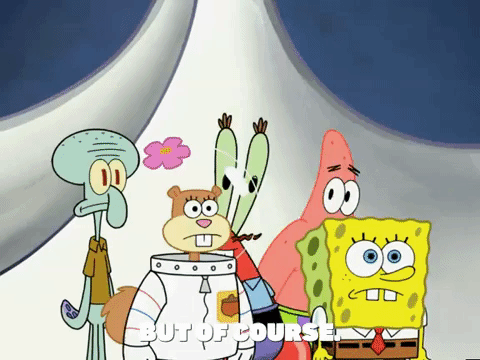 season 5 GIF by SpongeBob SquarePants