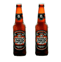 Cheers Cerveza Sticker by Cerveceria5deMayo