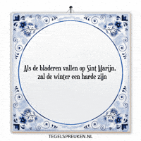 Winter Humor GIF by Tegelspreuken.nl