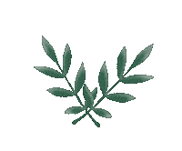 Maximeee nature green tree leaf Sticker