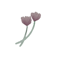 Maximeee nature flower flowers drawing Sticker