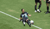 Missing New York GIF by National Women's Soccer League