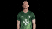 Germany No GIF by VfL Wolfsburg