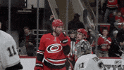 Happy Carolina Hurricanes GIF by NHL