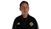 Football Wink Sticker by Northern Ireland