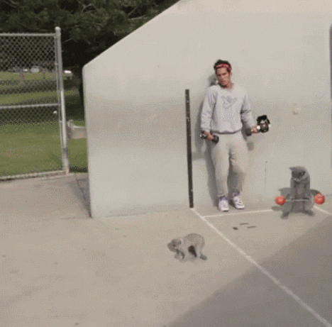 gym GIF