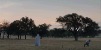 a ghost story GIF by A24