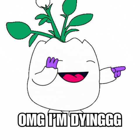 Cracking Up Lol GIF by Magic Eden