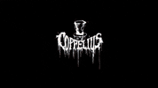 Happy Year GIF by Coppelius