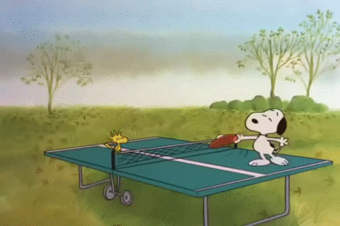 charlie brown thanksgiving GIF by Peanuts