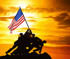 Memorial Day Army GIF by info@ourlifecbd.com