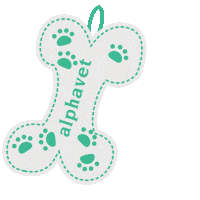 Christmas Pet Sticker by Alphavet