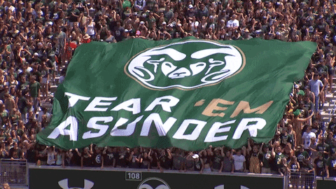 csu rams fans GIF by Colorado State Rams