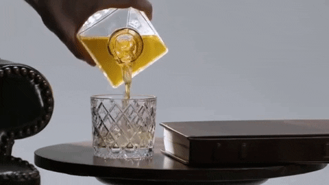 SoMello giphygifmaker book whiskey jaskier GIF
