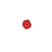 Loop Flower Sticker by Pilar Garcia-Fernandezsesma