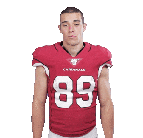 Arizona Cardinals No Sticker by NFL