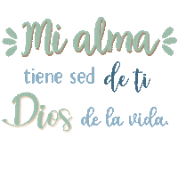 Jesus Vida Sticker