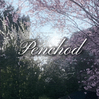 Pencho Punjabi Gif GIF