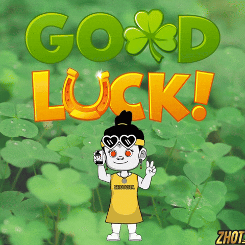Boa Sorte Good Luck GIF by Zhotcita