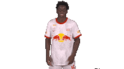 Red Bull Sport Sticker by FC Red Bull Salzburg