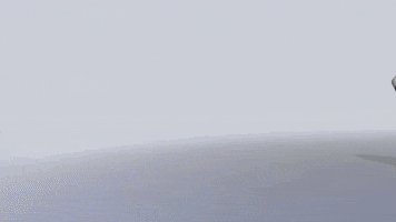 Lights Out Overwatch GIF by NRG Esports & SF Shock
