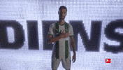 Borussia Moenchengladbach Football GIF by Bundesliga