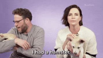 I Had A Hamster