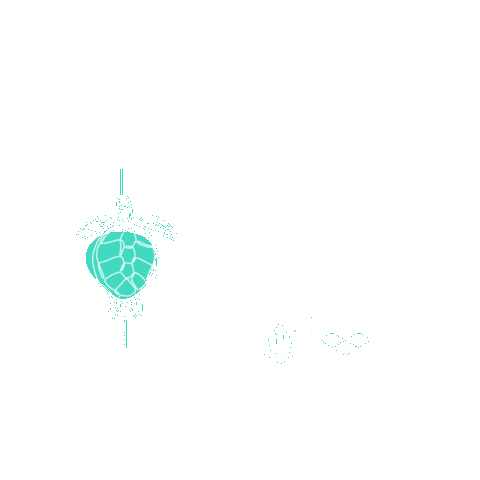 Openwaterswimming Sticker by Dominate the water