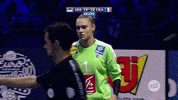 france handball GIF by EHF