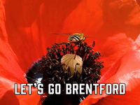 Let's Go Brentford