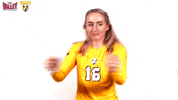 The Valley Mvc GIF by Missouri Valley Conference