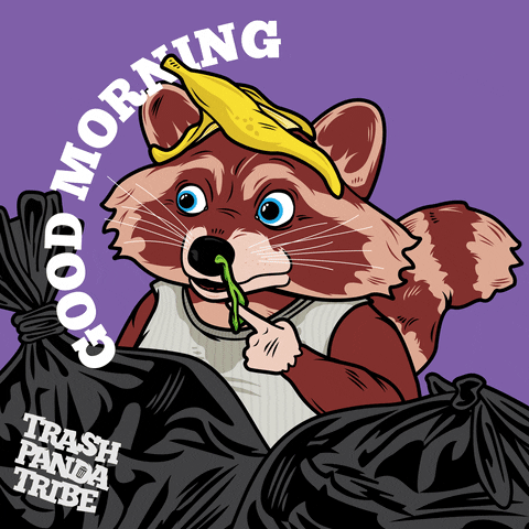 TrashPandaTribe giphyupload GIF
