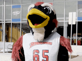 confused university mascot GIF