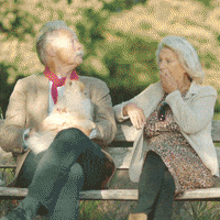 Hello GIF by Videoland