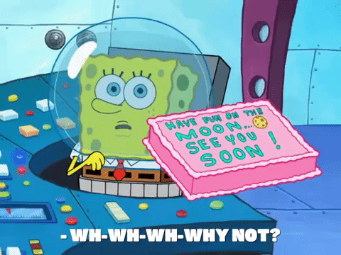 season 8 spongebob's runaway roadtrip: mooncation GIF by SpongeBob SquarePants
