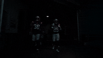 Football Nfl GIF by New England Patriots