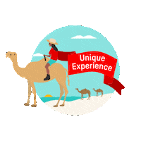 Planagram Sticker by Qantas