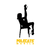 Dance Pole Sticker by Polecats Manila