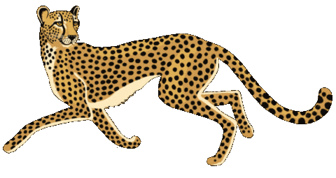 Spiritedartwork giphyupload animals wild africa Sticker