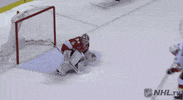 Happy Ice Hockey GIF by NHL