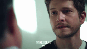 the resident fox GIF