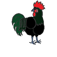 Rooster Hahn Sticker