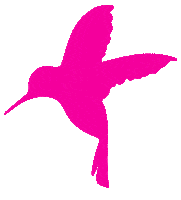 Pink Flying Sticker by humnutrition