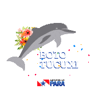 Estado Do Para Sticker by SECOMPA