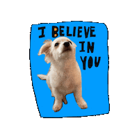 Dog Believe Sticker