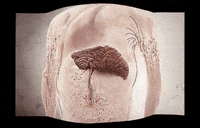 Way No GIF by Alex Boya