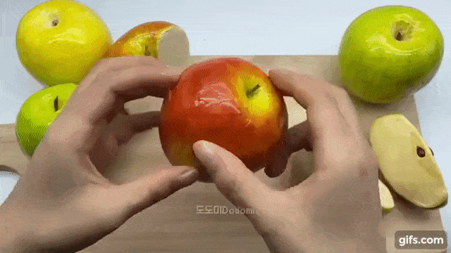 xcbcvccxscxcv giphyupload GIF