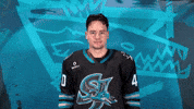 San Jose No GIF by San Jose Barracuda