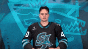 San Jose Yes GIF by San Jose Barracuda